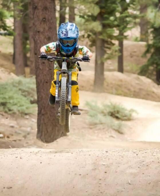 Los Osos Cozy Cabin With Private Spa And Bbq Villa Big Bear Lake Eksteriør bilde